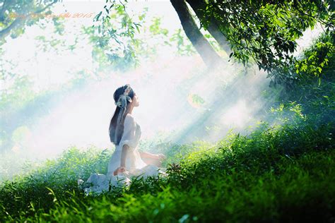 沐浴阳光/太阳骤雨